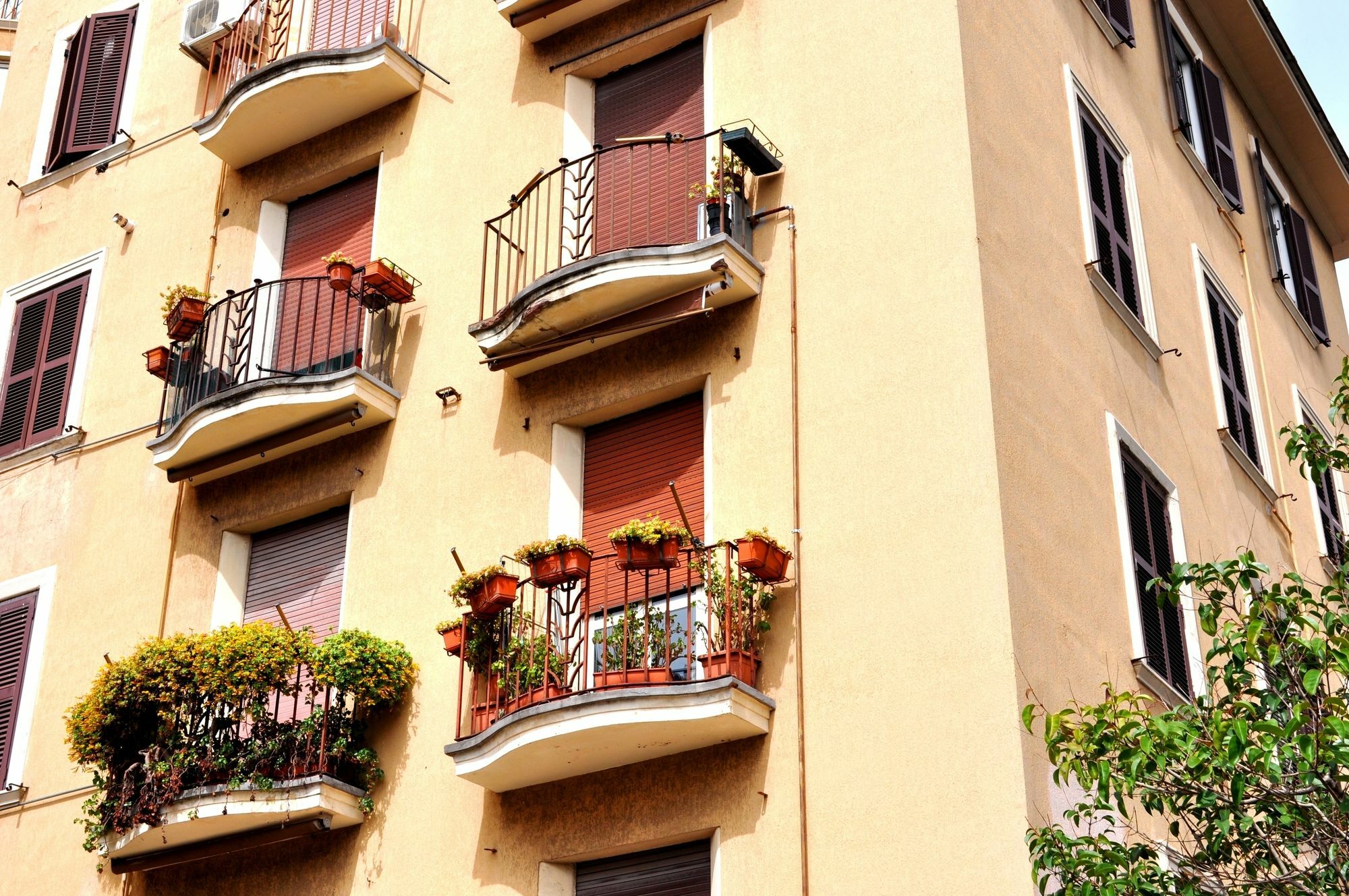 Debby * Roma
