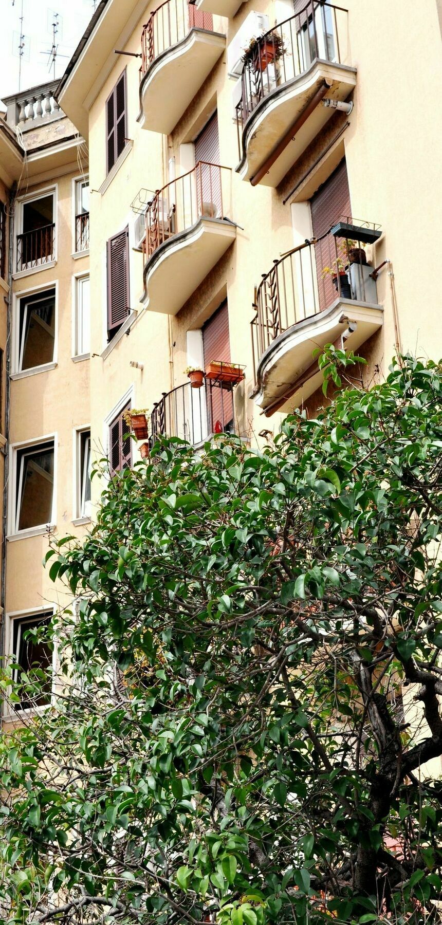 Apartment Debby *